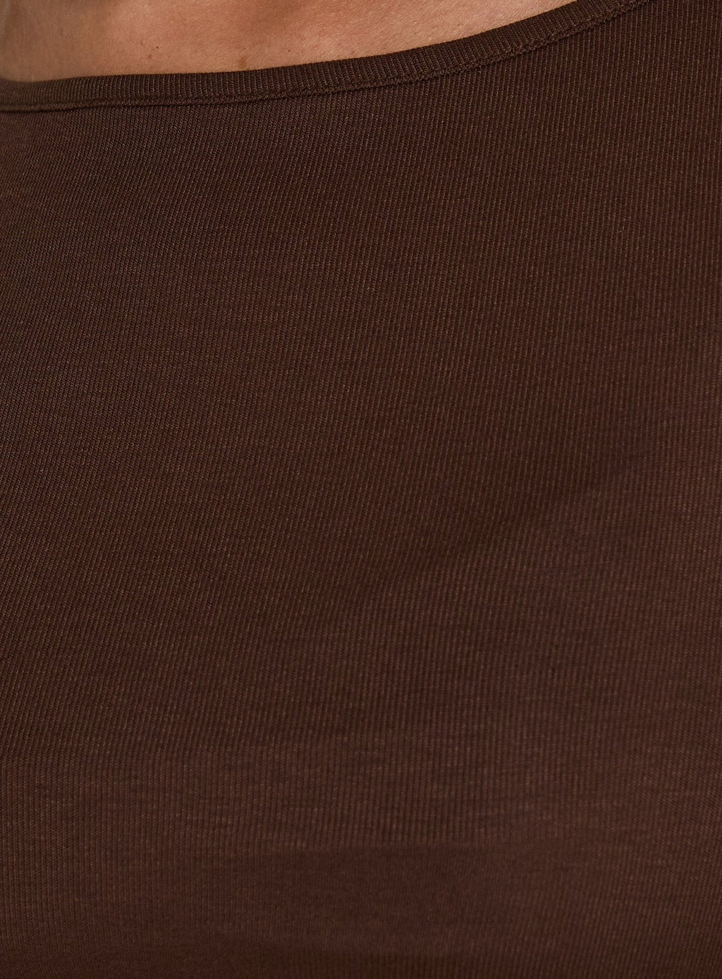 Long Weekends Semi-Sheer Long Sleeve Top Brown