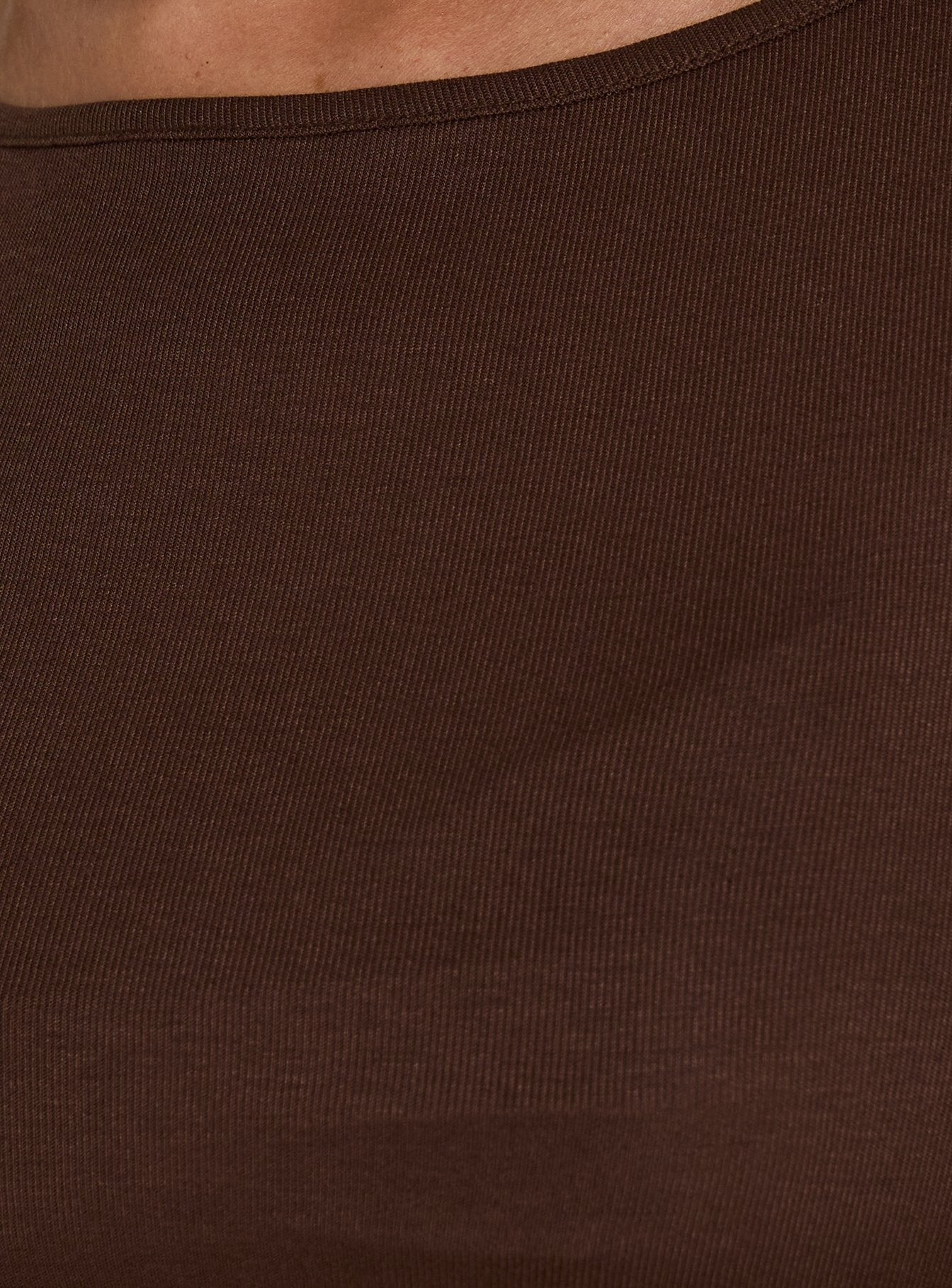 Long Weekends Semi-Sheer Long Sleeve Top Brown