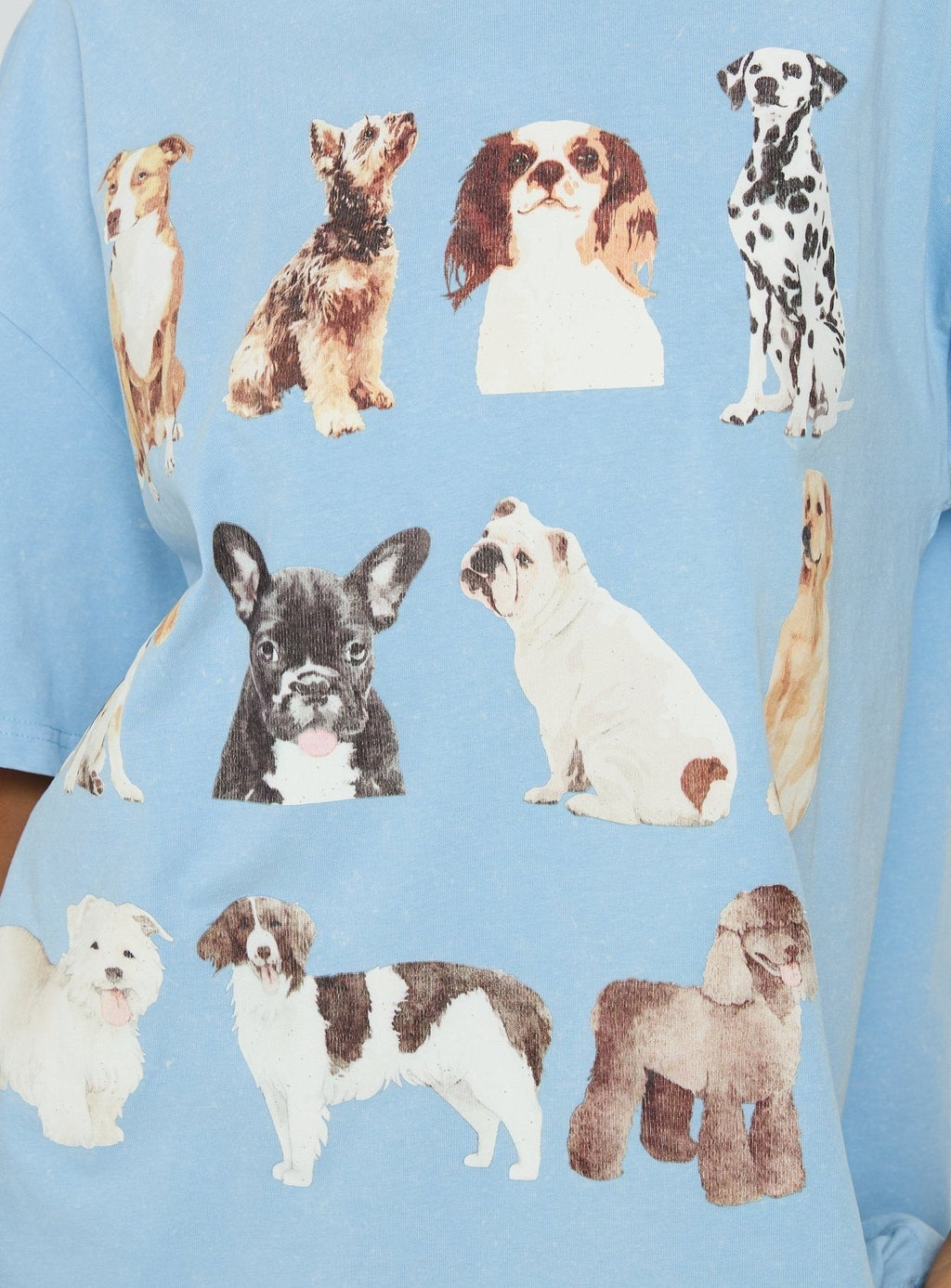 Dog Person Oversized Graphic Tee Washed Blue